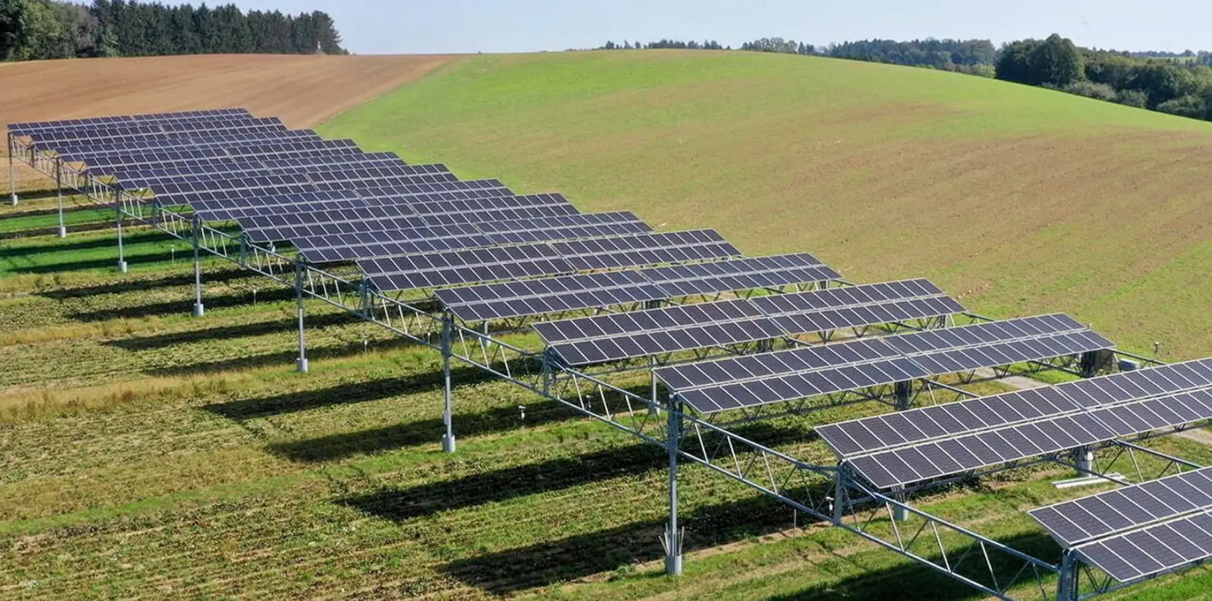 agrivoltaics in a field